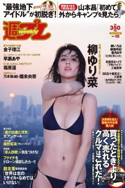 九部的检查官