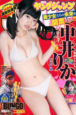 柳舟记40集连续剧免费观看